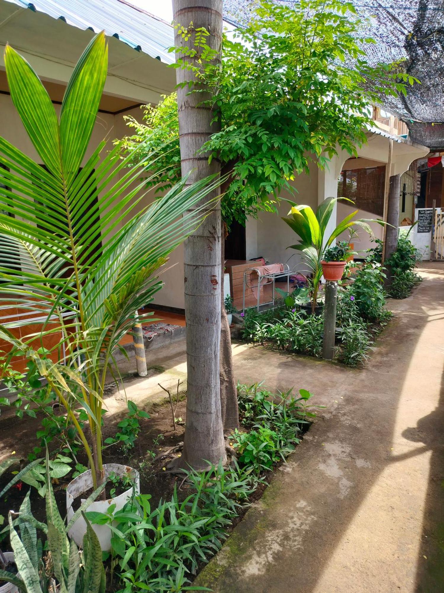 Aladdin Homestay Gili Islands Exterior photo