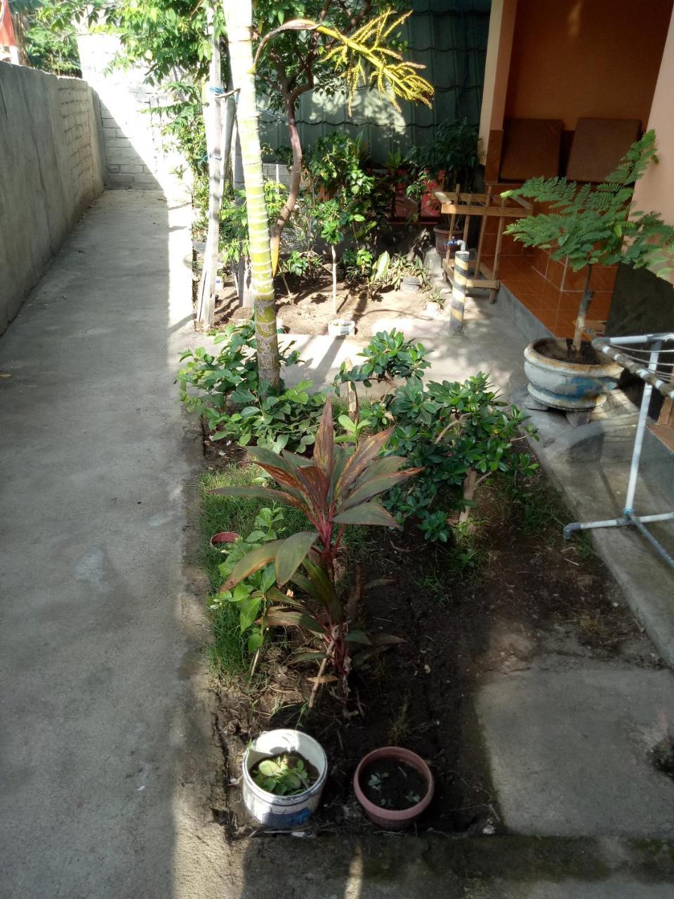 Aladdin Homestay Gili Islands Exterior photo